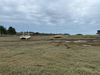 Ebbe bei Paimpol in der Bretagne: mehrere Boote liegen auf freiliegendem Watt mit Algen. Bäume und bewölkter Himmel im Hintergrund.