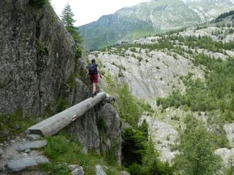Ein Wanderer läuft vorsichtig über einen Baumstamm.