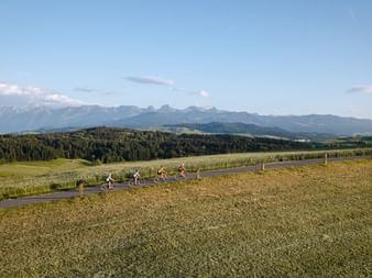 Four cyclists on a paved path through rolling fields in Gantrisch Nature Park near Bern, with forested hills and mountain peaks in the distance.