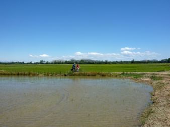 Velotour durch weite Felder in Nordkatalonien Zwei Radfahrer fahren entlang eines Feldes unter blauem Himmel