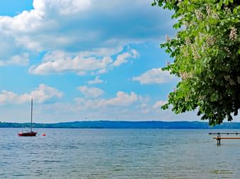 Malerischer Blick auf den Starnberger See mit einem roten Segelboot auf ruhigem blauen Wasser. Grüne Äste rahmen oben rechts, blauer Himmel mit weißen Wolken.