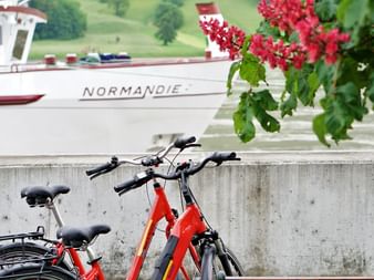 Rote Fahrräder an Betonmauer geparkt mit Schiff MS Normandie im Hintergrund. Rote Blüten hängen im Vordergrund.