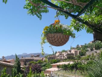 Radurlaub Mallorca
