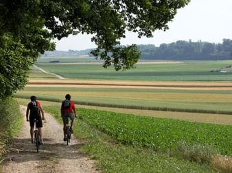 Deux cyclistes sur les chemins rouges entre la lisière de la forêt et les champs.