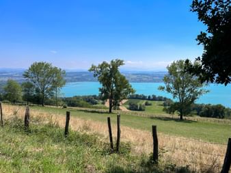 Blick auf den Murtensee mit grünen Wiesen im Vordergrund