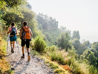 Zwei Wanderer mit Rucksäcken gehen auf einem steinigen Bergweg am Monte Generoso, umgeben von üppiger grüner Vegetation und nebligen Talblicken.