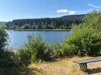 Holzbank auf Kiesweg mit Blick auf den Schluchsee mit grünen Büschen, bewaldeten Hügeln und blauem Himmel an einem sonnigen Tag.