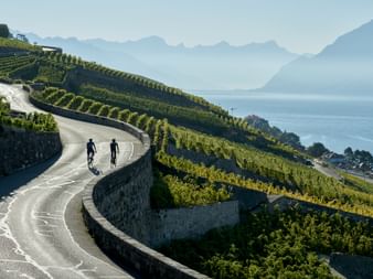 Velofahren am Genfersee