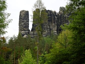 Hohe Sandsteinfelsen erheben sich über dichtem Wald entlang der Affensteinpromenade am Malerweg in der Sächsischen Schweiz.