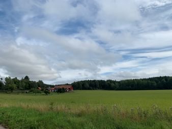 Traditionelle rote schwedische Bauernhäuser neben einem grünen Feld mit Wald im Hintergrund unter bewölktem Himmel bei Stockholm.