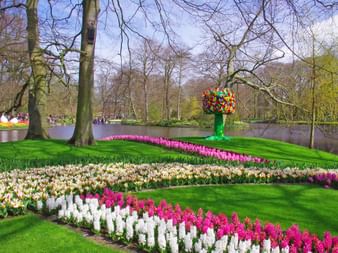 Ein Tulpenmeer im Botanische Garten Keukenhof