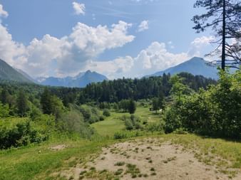 Blick über grüne Wiesen, Wald und Berge im Hintergrund
