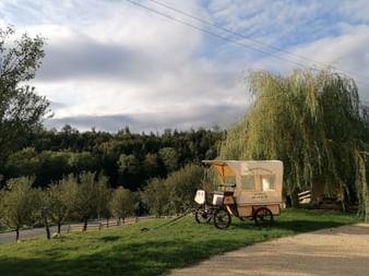 Planwagen