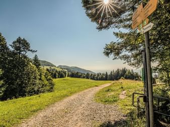 Naturbelassene Landschaften warten auf dem Jura-Höhenweg.