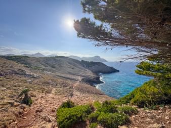 Küstenblick Llevant