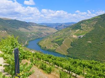 Gepflegte Wanderpfade entlang dem Fluss Douro