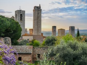 Tours historiques de San Gimignano s'élevant au-dessus des bâtiments en pierre, entourées de cyprès et de glycines en fleurs en Toscane.