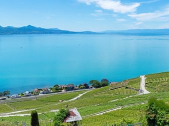 Blick auf den Genfersee