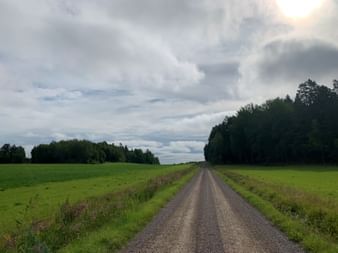 Gerader Schotterweg zwischen grünen Feldern und Waldrändern unter bewölktem Himmel auf der Route von Trosa nach Stockholm.