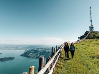 Rigi