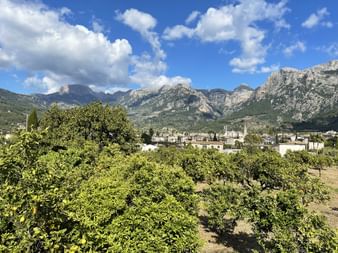 Sóller
