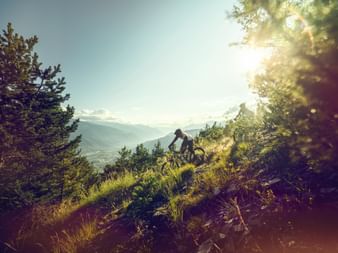 Downhill-Szene im Wallis