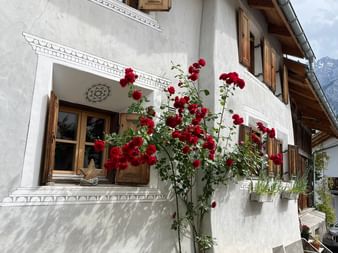 Ein weisses Haus mit roten Blumen vor den Fenstern