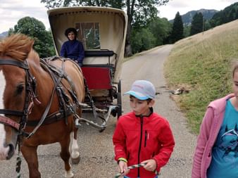 Randonnée en char attelé avec des enfants dans le Jura. Vacances actives avec Eurotrek.