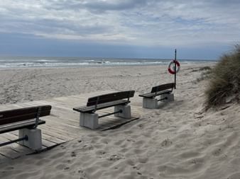 Drei Holzbänke auf einem Holzsteg an einem Sandstrand mit Dünengras. Ein Rettungsring-Pfosten steht in der Nähe mit Blick auf die Ostsee.