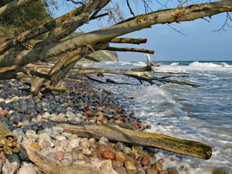 Beruhigendes Meer in Rügen