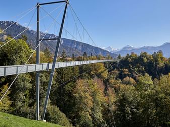 Pont suspendu moderne en acier enjambant une vallée boisée avec des sommets alpins enneigés en arrière-plan près du lac de Thoune.