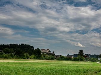 Schloss auf einem Hügel mit Wiese davor.