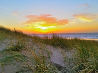 Sanddünen am Strand von Texel mit hohem Gras im Wind. Goldener Sonnenuntergang über dem Nordseehorizont mit orangen und gelben Wolken.
