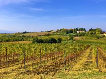 Vineyards and a small village on rolling hills in Tuscany