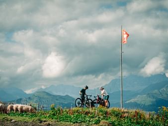 Two gravel bikers pause on a green alpine meadow with grazing cows near a Swiss flag. Mountain peaks and dramatic clouds visible in background.