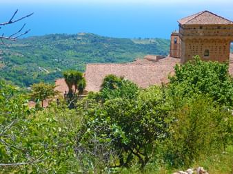 Eine Burg umegeben von grüner Natur in Cilento