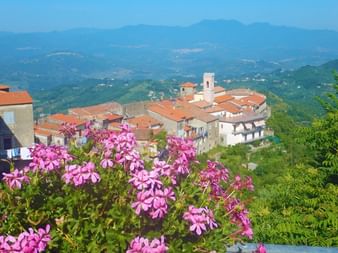 Bunte Blumen finden sich im Cilento an jeder Ecke