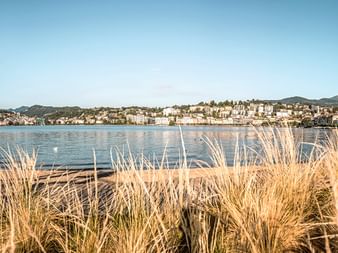 Vue panoramique de la ville de Lugano et du lac depuis le Parco Ciani avec des herbes ornementales dorées au premier plan.
