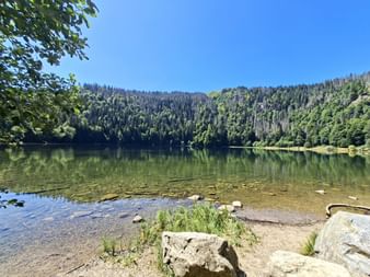 Clear mountain lake Feldsee surrounded by dense forest in the Black Forest. Rocky shore in foreground, forested hills reflected in calm water.