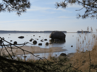 Ruhige Ostseebucht mit verstreuten Felsen im flachen Wasser, Sandstrand, Kiefernzweigen im Vordergrund und bewaldeten Inseln am Horizont.