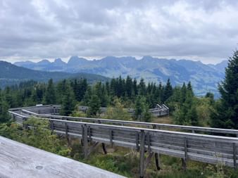 Hölzerner Waldwipfelpfad bei Schwarzsee mit erhöhten Plattformen durch den Wald, Bergkette unter bewölktem Himmel sichtbar.