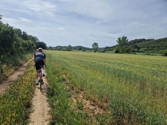 Radfahrer in gestreiftem Trikot auf Feldweg neben grünem Weizenfeld in Nordkatalonien, mit Bäumen und Hügeln unter bewölktem Himmel.
