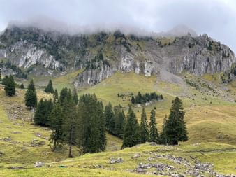Dramatische Kalksteinfelsen mit freiliegenden Felswänden über grünen Almwiesen mit Nadelbäumen bei Schwarzsee und Jaun.