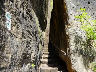 Steiler Steinaufgang mit Metallgeländer zwischen hohen Sandsteinfelsen am Pfaffenstein, mit grünem Laub darüber sichtbar.