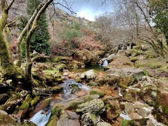 Gebirgsbach fließt über moosbewachsene Felsen im Peneda-Gerês-Nationalpark, Portugal, umgeben von kahlen Bäumen und Herbstvegetation.