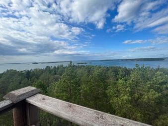 Blick über einen finnischen See im Vodergrund befinden sich viele Tannenbäume
