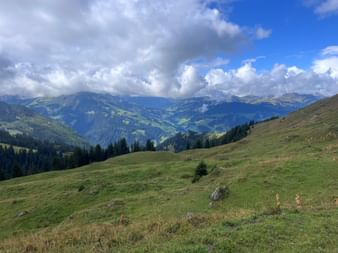 Grüne Almwiesen mit bewaldeten Tälern und Bergketten unter teilweise bewölktem Himmel bei Zweisimmen, Grimmialp.