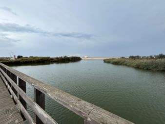 Holzsteg-Geländer mit Blick auf die Lagune Lagoa dos Salgados an der Algarve. Grünes Wasser umgeben von Schilf, Vegetation und Sandstrand unter bewölktem Himmel.