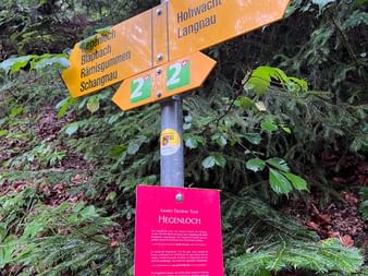 Gelber Wanderwegweiser mit rotem Schild im Wald