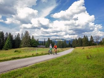 Zwei Radfahrer auf dem Radweg im Naturpark in Jura.